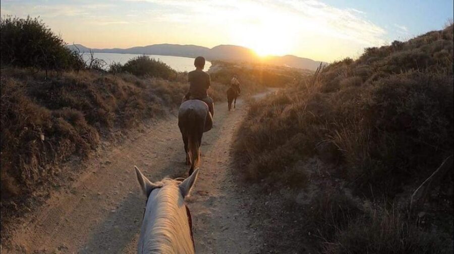 Zakynthos: Yotomu Horse Riding and Swimming Experience - Beach Riding and Swimming With Horses in the Ionian Sea