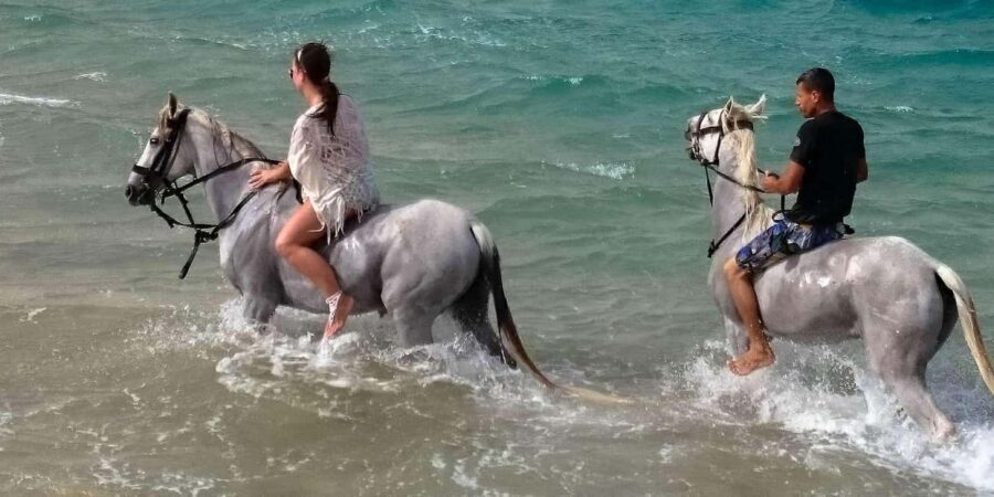 Zakynthos: Yotomu Horse Riding and Swimming Experience - Safety, Terrain, and Realistic Expectations