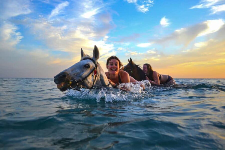 Zakynthos: Yotomu Horse Riding and Swimming Experience - Fit and Restrictions: Who This Works For (and Who Should Skip)