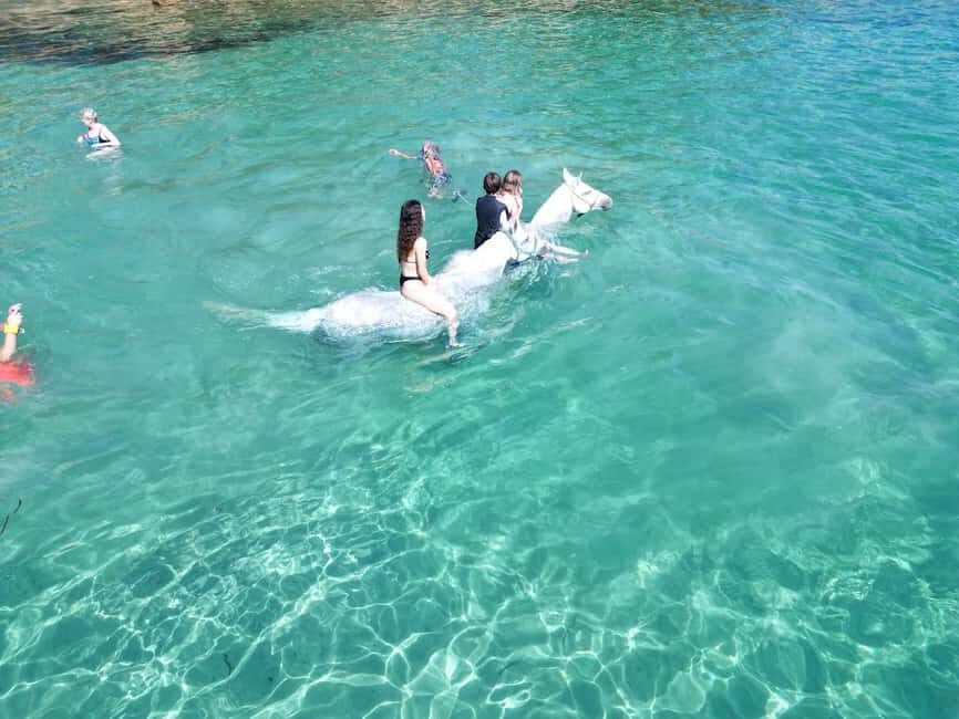 Zakynthos: Yotomu Horse Riding and Swimming Experience - Price and Value: Is $58 a Fair Deal?