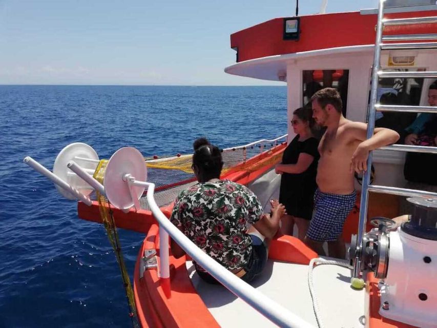 Zante Fishing Tours - Pulling in the nets and checking the catch