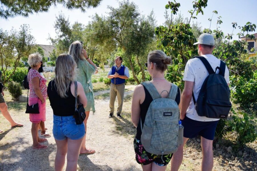 Zante: Half-Day Tour to Navagio, Blue Caves & White Beach - Logistics that actually affect your day: pickups, time on the water, and boat tickets